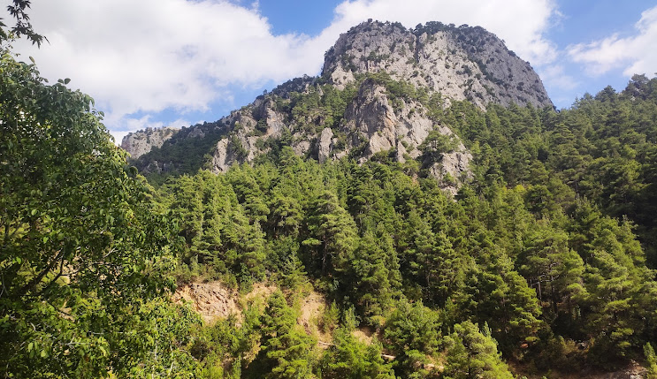 Mersin Temizlik Şirketi Mezitli